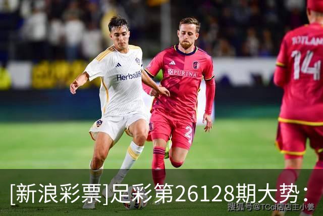 [新浪彩票]足彩第26128期大势：霍芬海姆大单防平